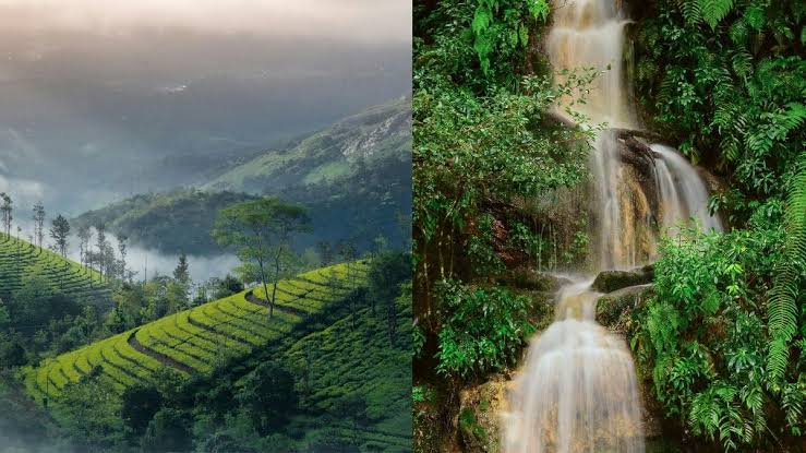 The Ultimate Guide to the Best Rainy Season Travel Destinations