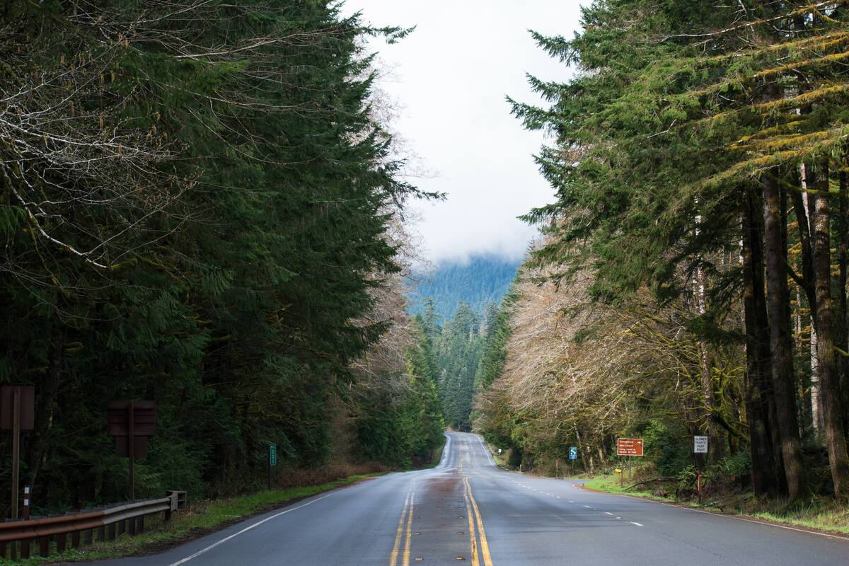 Best Road Trips in the USA 2026: Scenic Routes, Hidden Gems & Travel Tips