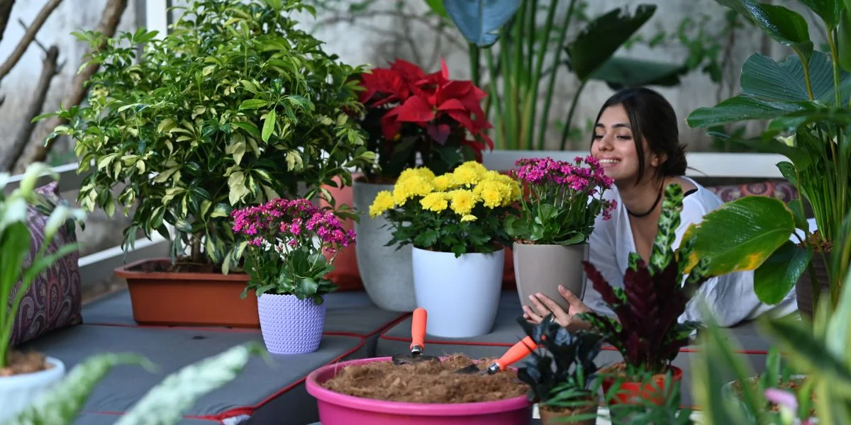 The Best Gardening & Plant Guide  Easy Tips for Healthy Plants