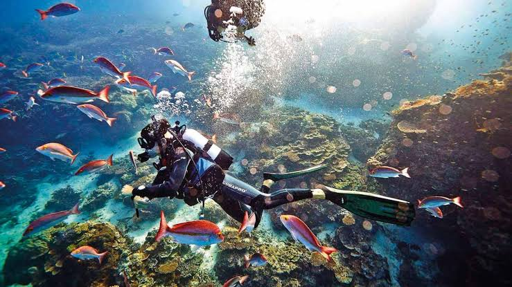Beautiful travel destinations featuring scenic landscapes, stunning beaches, mountain views, and memorable holiday experiences.