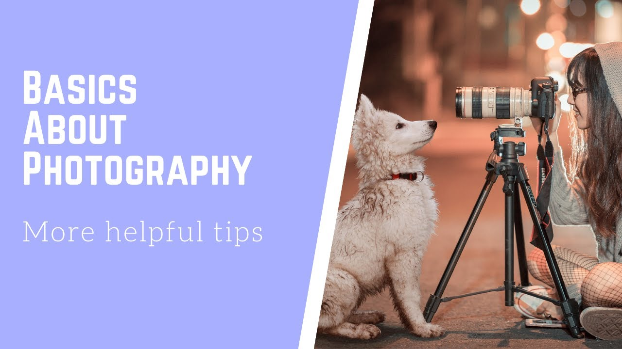 Photography tips and creative ideas for capturing beautiful moments, stunning portraits, nature scenes, and memorable everyday experiences.