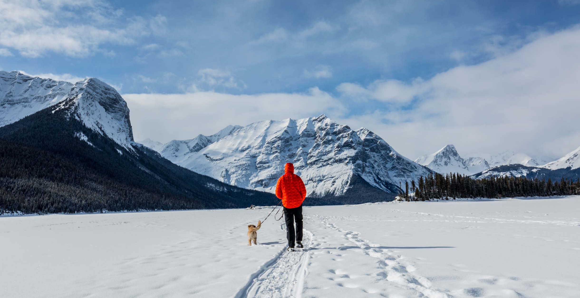 The best snowfall destinations for snow lovers, featuring snow-covered mountains, frosty pine forests, and beautiful winter landscapes in India.