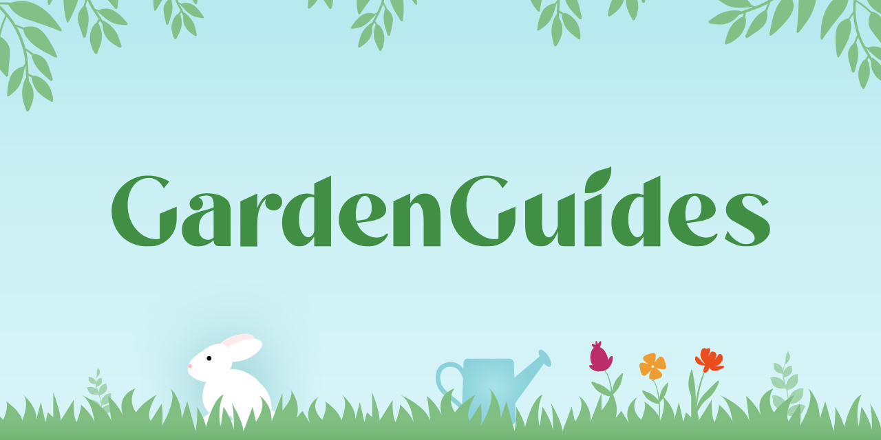 Easy Balcony Gardening Tips for Healthy Plants and Beautiful Flowers